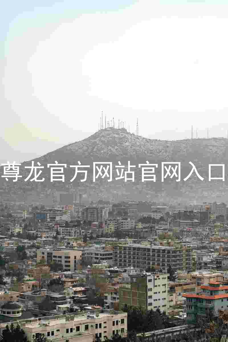 尊龙官方网站官网入口