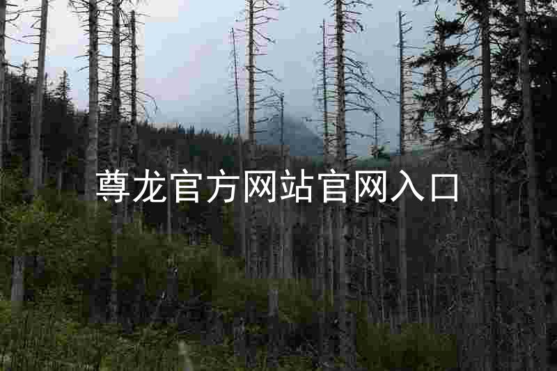 尊龙官方网站官网入口