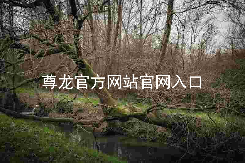 尊龙官方网站官网入口