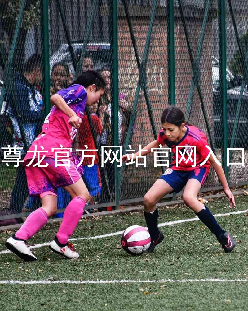 尊龙官方网站官网入口