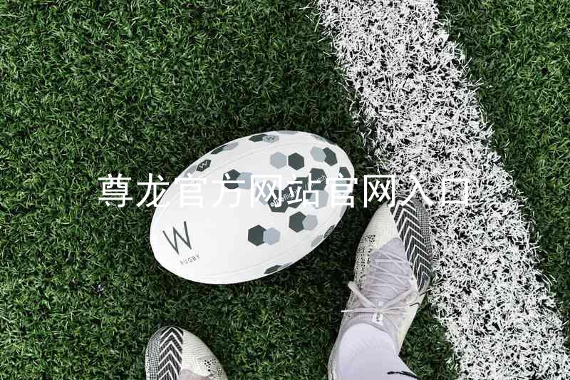 尊龙官方网站官网入口