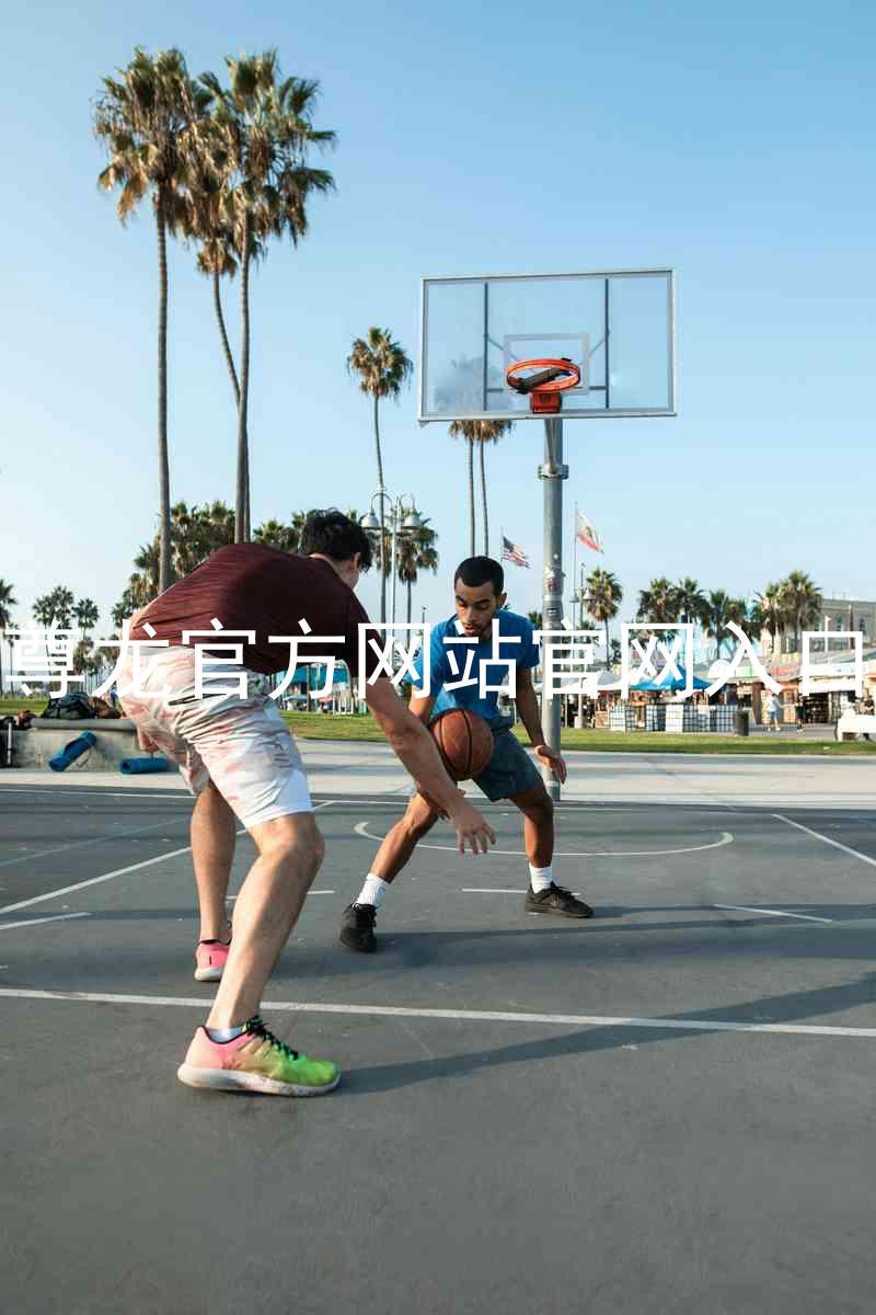 尊龙官方网站官网入口