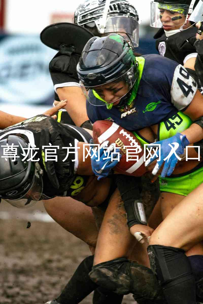 尊龙官方网站官网入口