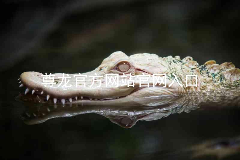 尊龙官方网站官网入口